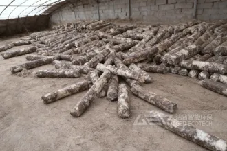 由破碎设备引发的废弃菌棒“淘金路”