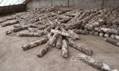 由破碎设备引发的废弃菌棒“淘金路”