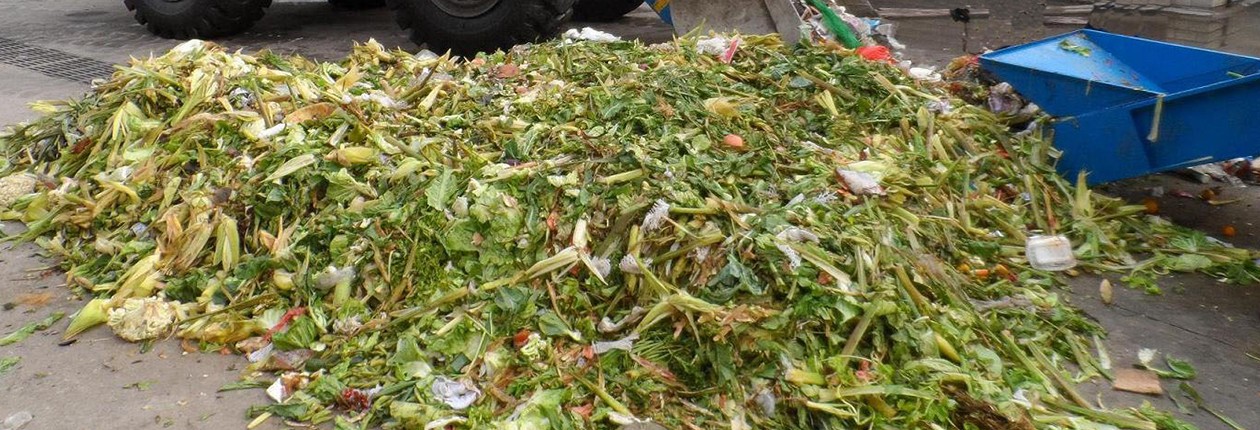 厨余垃圾处理前