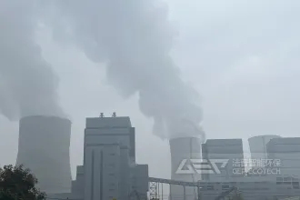 为什么燃煤电厂都在推行生物质耦合？