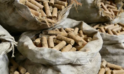 洁普环保生物质颗粒生产线助力沙柳变生物质颗粒燃料