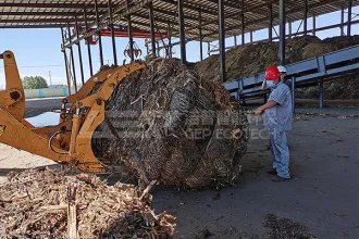 生物质秸秆破碎机哪种设备比较合适?