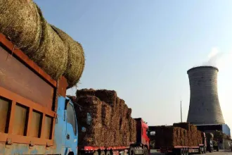 农作物秸秆如何清洁高效地“消化”?生物质燃料预破碎系统了解一下