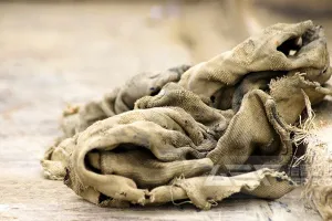 大量油抹布、油毡破碎为何选择封闭式楼式破碎系统？