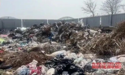 从央视曝光的农村垃圾乱象，看生活垃圾如何“变废为宝”