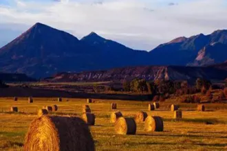 深入推进农作物秸秆综合利用,生物质综合破碎机巧助力