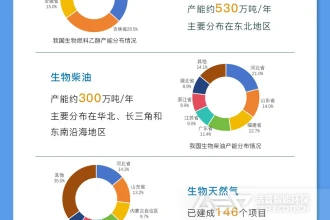 我国绿色燃料发展情况