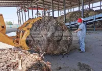 提高生物质掺烧经济性的有效途径
