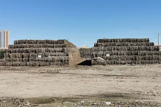 东北生物质破碎机哪家好?