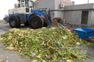 厨余垃圾可以制成生物质颗粒燃料吗？