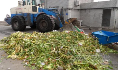 厨余垃圾可以制成生物质颗粒燃料吗?
