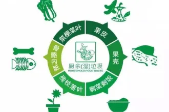 垃圾分类进行中，城市厨余垃圾该何去何从？