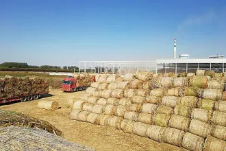 秸秆综合利用效益高：化身新燃料 秸秆变成宝