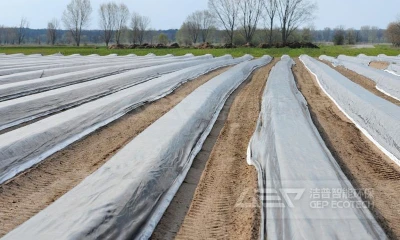 地膜破碎分选资源化系统现状与前景