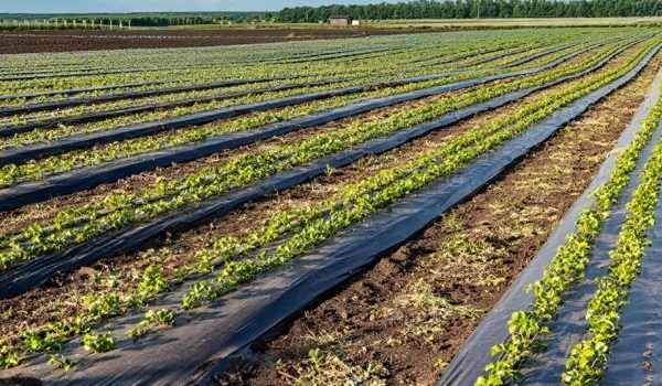 废弃农膜破碎筛分处理