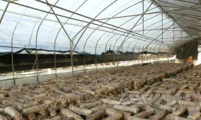 废弃菌棒变“钱”！粉碎设备助力生物饲料加工，养殖成本直降