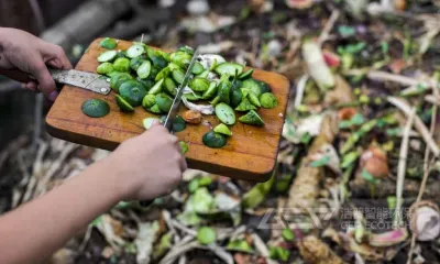 厨余垃圾处理时其中含的杂物总缠绕撕碎机怎么处理