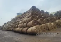 大型电厂都在用这些材料耦合掺烧生物质