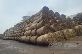 大型电厂都在用这些材料耦合掺烧生物质