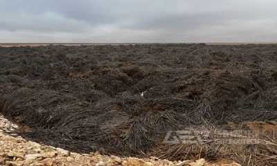 潮湿植物垃圾破碎压块—洁普智能环保整体设备方案