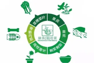 如何将厨余垃圾“吃干榨净”？