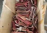 工业固废破碎深加工新机遇