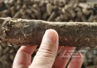 一吨替代燃料的生产成本多少钱？