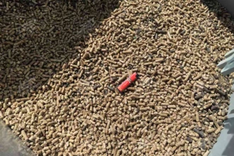 生物质粉碎造粒工艺：变废为宝的绿色能源转化之路