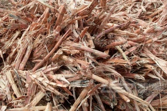 甘蔗叶这样预破碎资源化处置，环保又增收