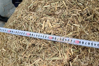 电厂生物质秸秆入炉前预破碎用哪种破碎机？