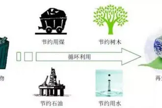 废纸资源化利用如何破题