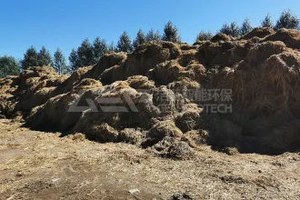 深挖生物质发电潜能，守护绿水青山