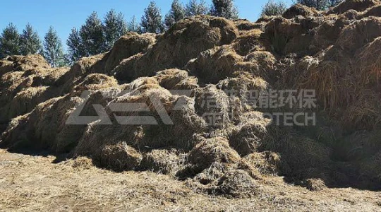 东北农林生物质热电联产项目