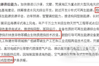 可再生能源替代行动下的生物质能源解决方案