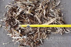 双轴生物质撕碎机—开启东北生物质直燃电厂新篇章