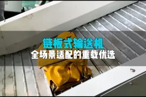 链板式输送机：重载输送“实力派”，适配多场景！