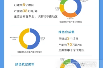 我国绿色燃料发展情况