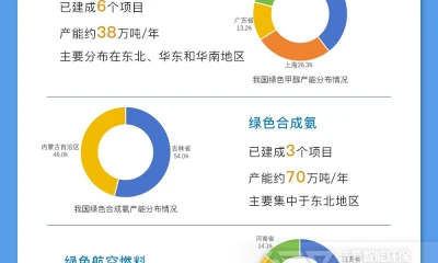 我国绿色燃料发展情况