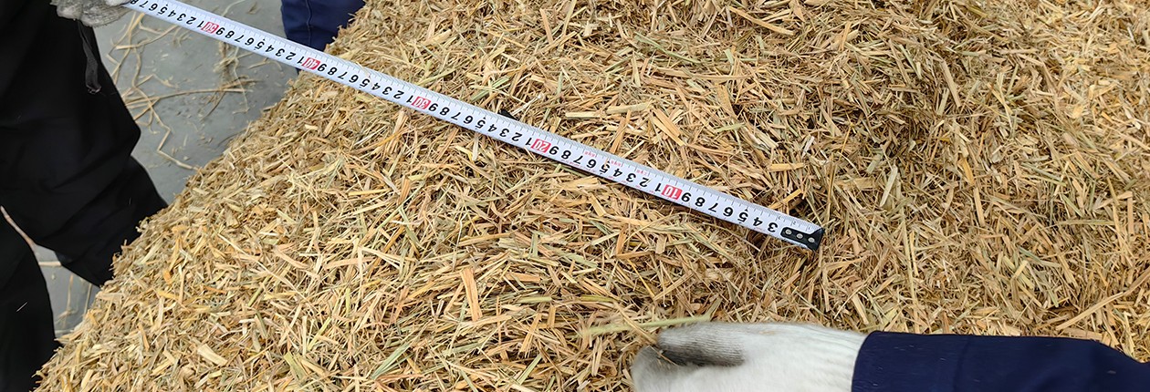 玉米秸秆处理后