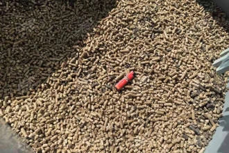 蔬菜产区必看！瓜秧/蔬菜秧难处理？洁普工艺设备帮您做成生物质颗粒，减碳又赚钱