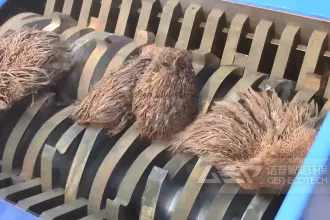 油棕壳破碎做燃料怎么选择撕碎机?