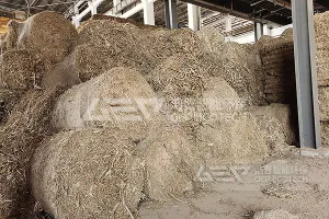 生物质耦合掺烧的意义