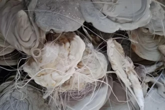 塑料机头料破碎机介绍