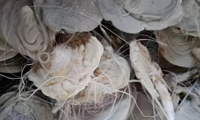 塑料机头料破碎机介绍