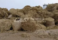 农林生物质热电联产原料预处理看这里！