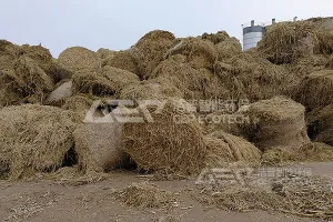 农林生物质热电联产原料预处理看这里！