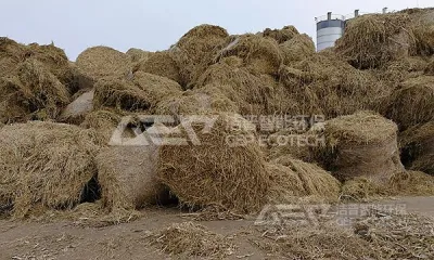 农林生物质热电联产原料预处理看这里!