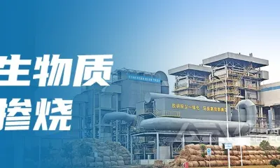 生物质掺烧:绿色能源转型的路径探索与挑战应对