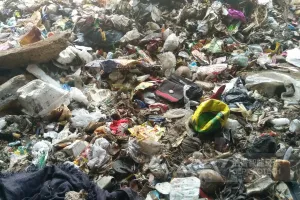 城市生活垃圾粉碎处理需要哪些设备？价格贵吗