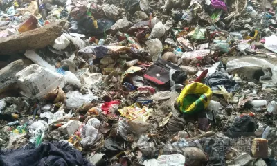 城市生活垃圾粉碎处理需要哪些设备？价格贵吗